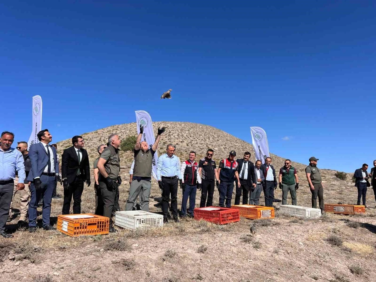 Nevşehir’de kene ile doğal mücadele
