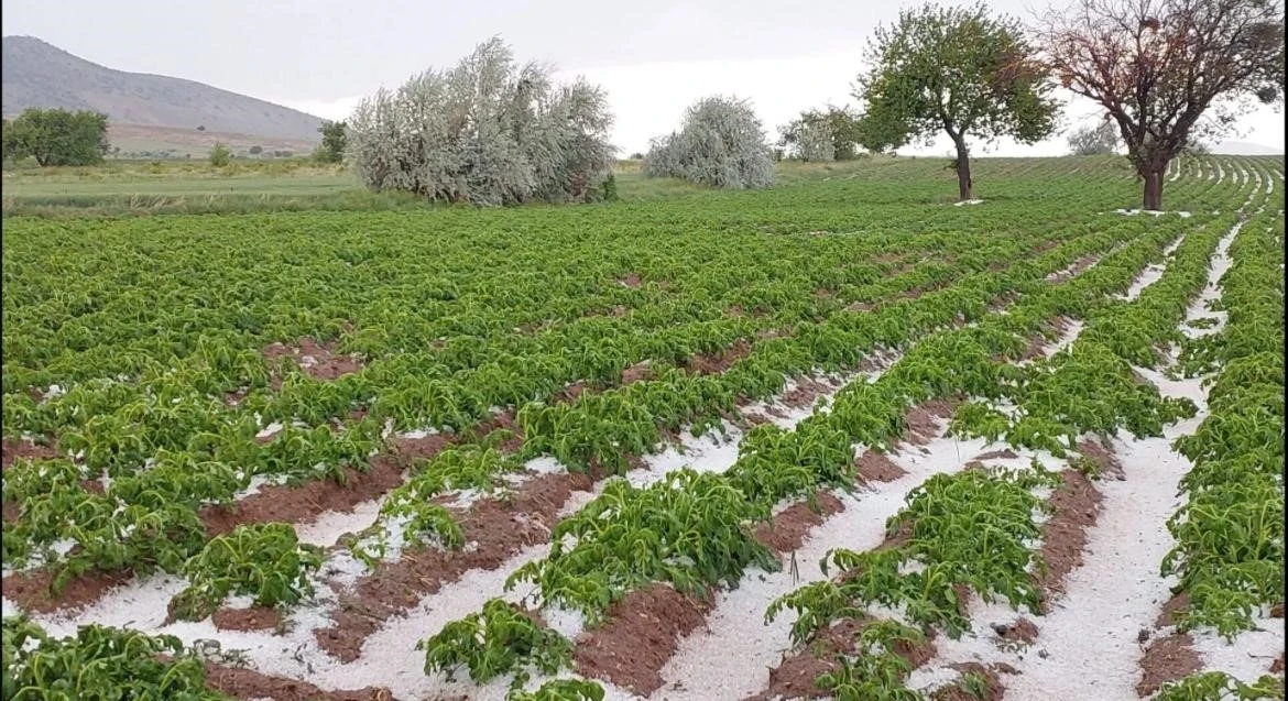 Nevşehir’de sel ve dolu tarım arazilerini vurdu
