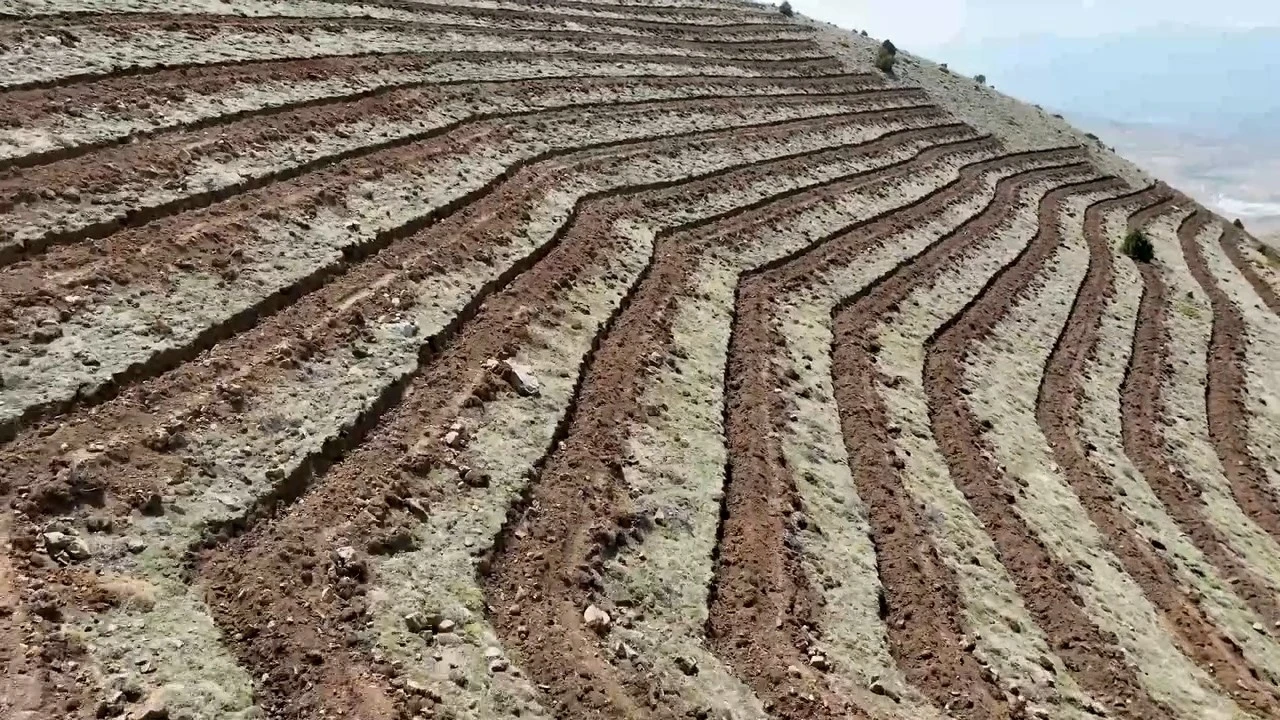 Niğde’nin Himmetli Köyü’nde 100 hektarlık alanda ağaçlandırma yapılacak
