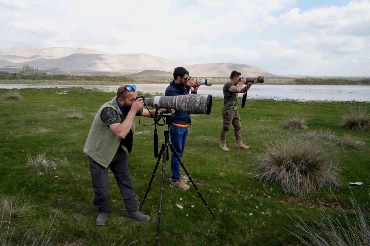 Niğde’nin kuş envanterine yeni bir kuş türü daha eklendi

