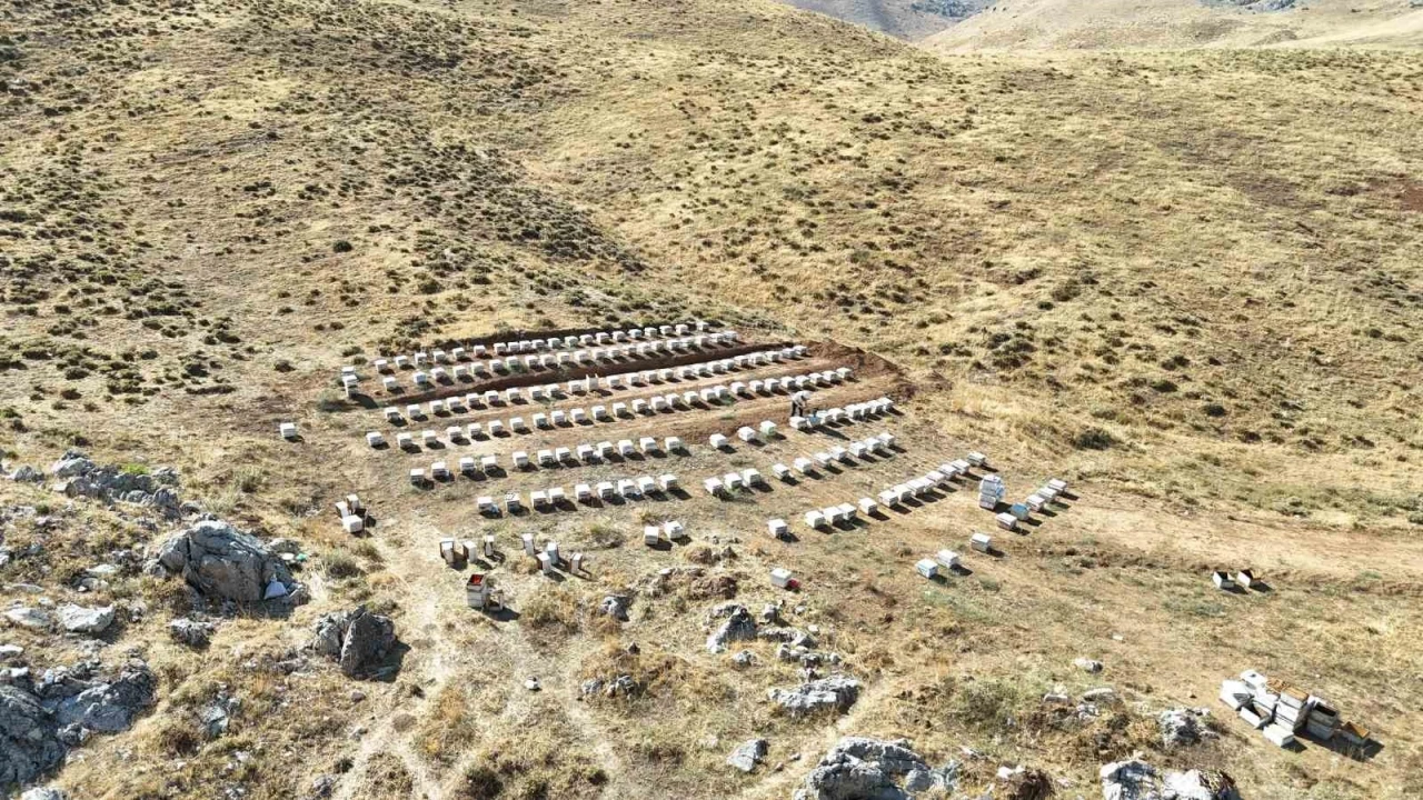 Nurhak’ın Tahtalı Yaylası’nda bal sağımı
