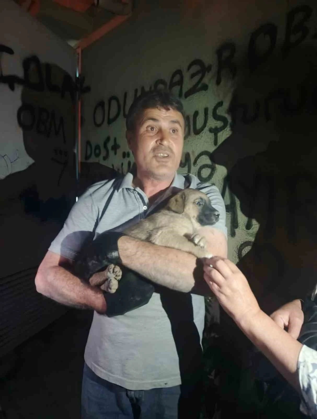 OEDAŞ trafoda mahsur kalan yavru köpeğe duyarsız kalmadı
