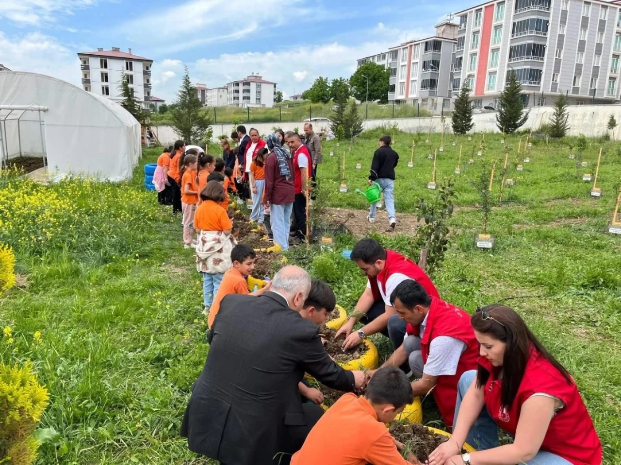 &Ouml;ğrenciler yetiştirdikleri fideleri toprakla buluşturdu
