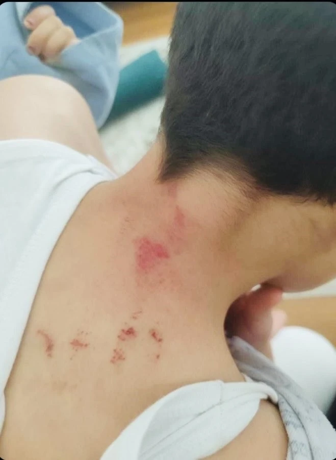 Öğrencisini darp eden öğretmen tutuklandı
