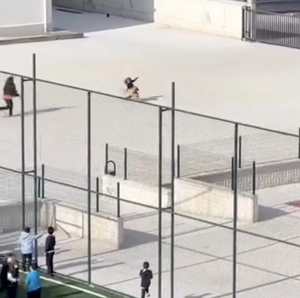 Okul bahçesine giren köpek çocuklara büyük panik yaşattı: O anlar kameraya yansıdı
