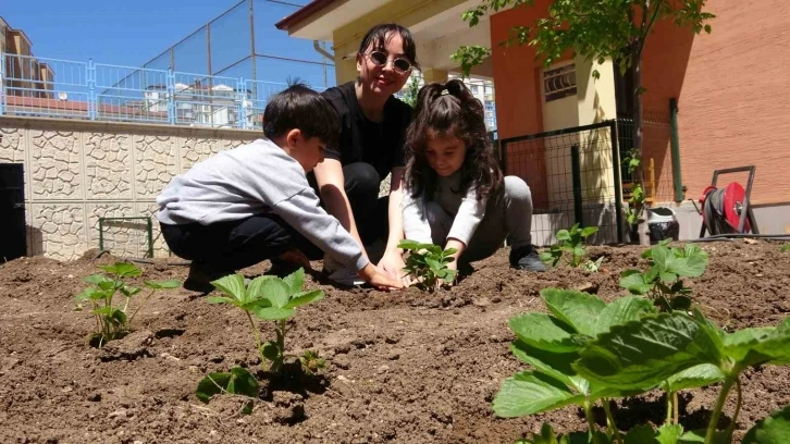 Okul bahçesine öğrencileri için tarım alanı oluşturdu
