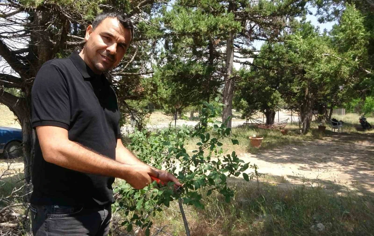 Ölmeden ölüm ilanı verildi, duyunca şok oldu
