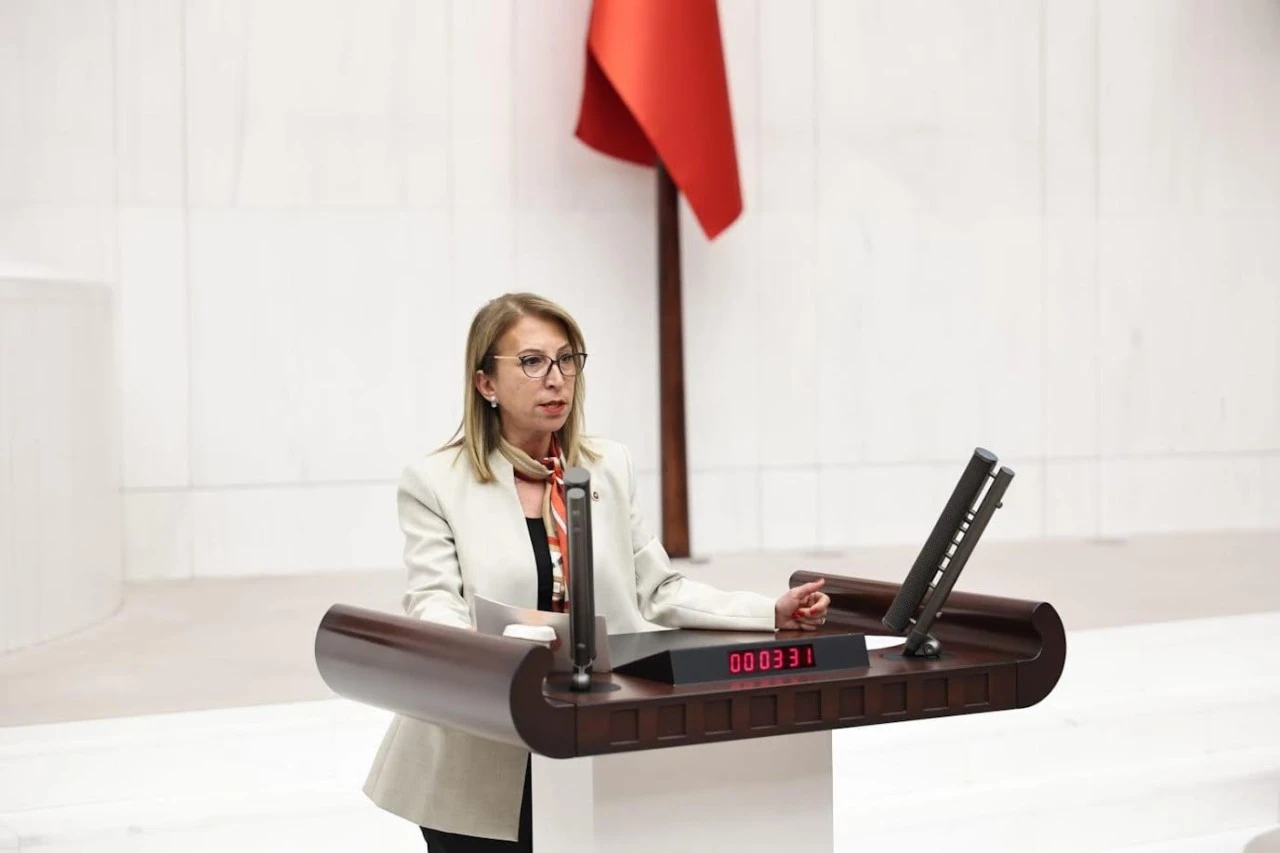 &Ouml;neş Derici&rsquo;den Kille Koyu i&ccedil;in Bakanlığa soru