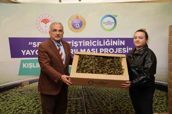 Ordu&rsquo;da 4,5 yılda 3 milyon sebze fidesi vatandaşlara dağıtıldı
