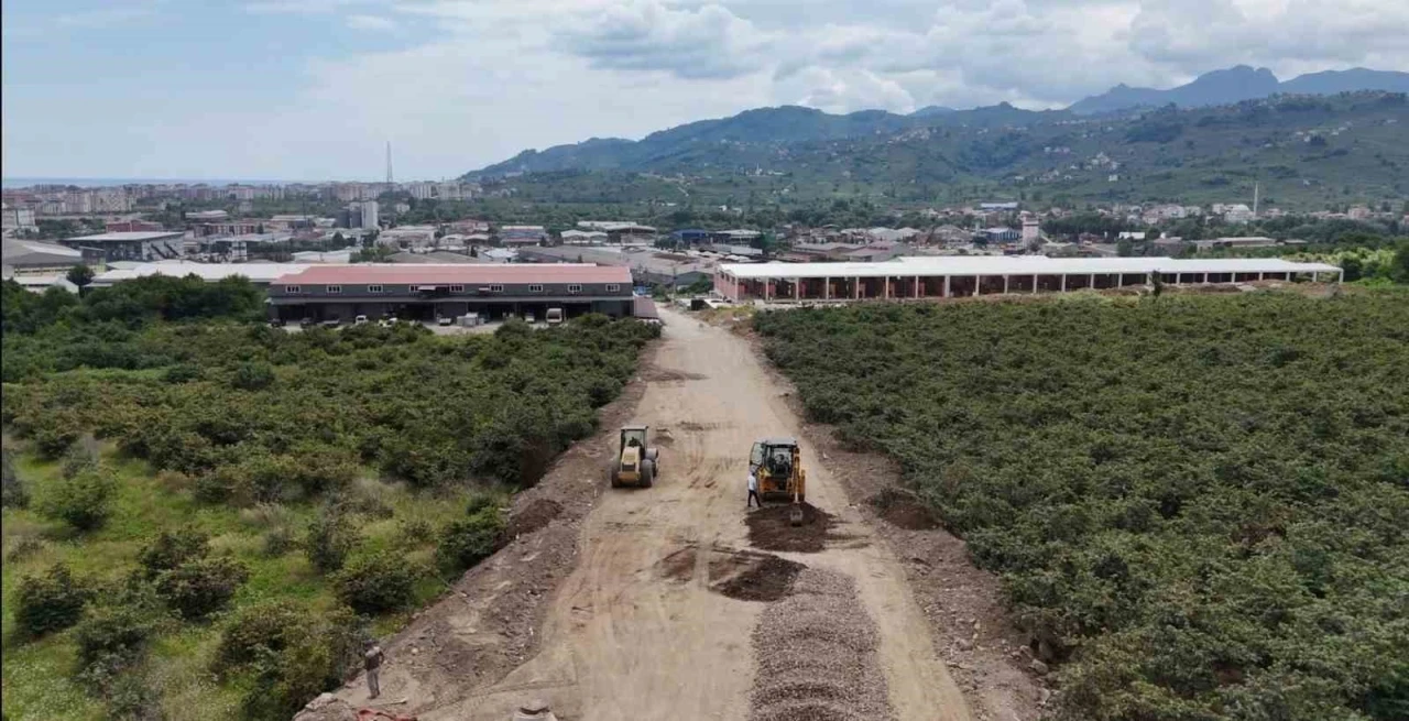 Ordu’da alternatif yollar ile trafik rahatlatılıyor
