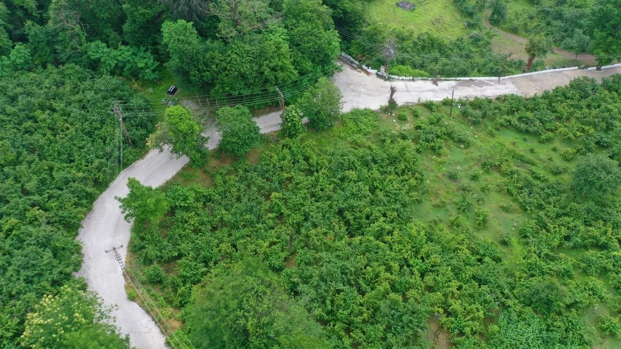 Ordu&rsquo;da beton yol &ccedil;alışmaları
