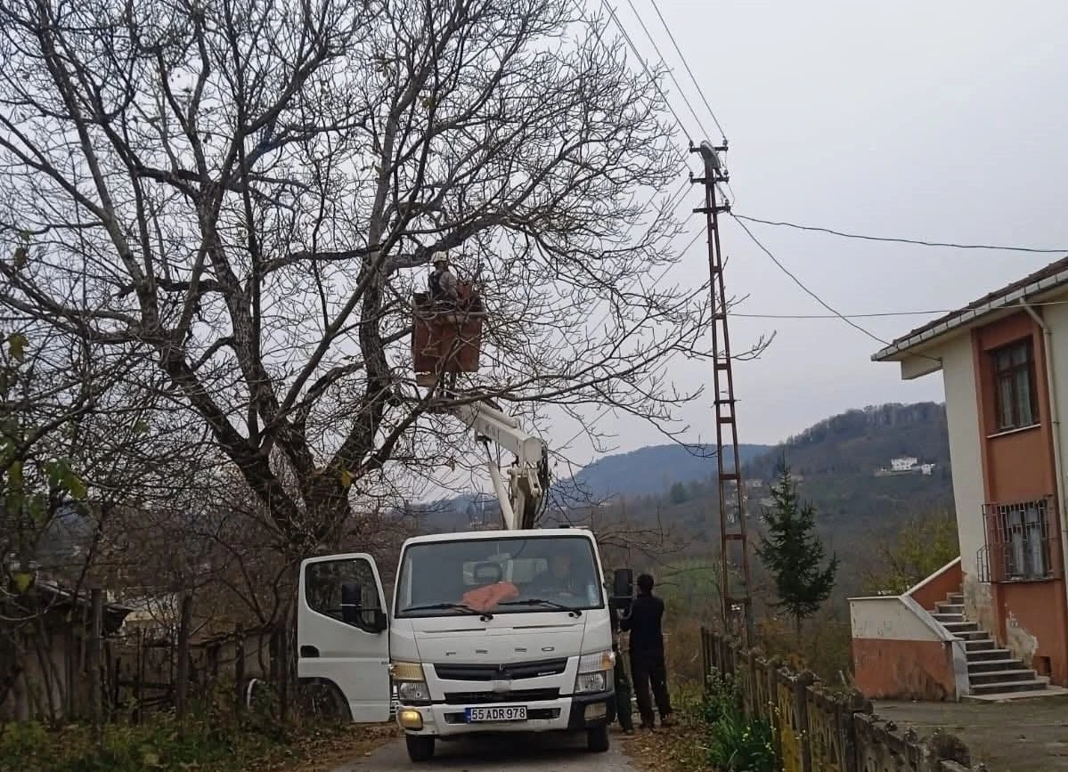 Ordu&rsquo;da elektrik tellerine temas eden ağa&ccedil; dalları kesildi
