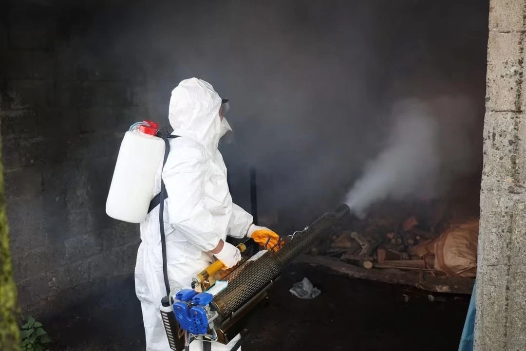 Ordu&rsquo;da kahverengi kokarcaya karşı 300 binden fazla kışlak ila&ccedil;lanıyor
