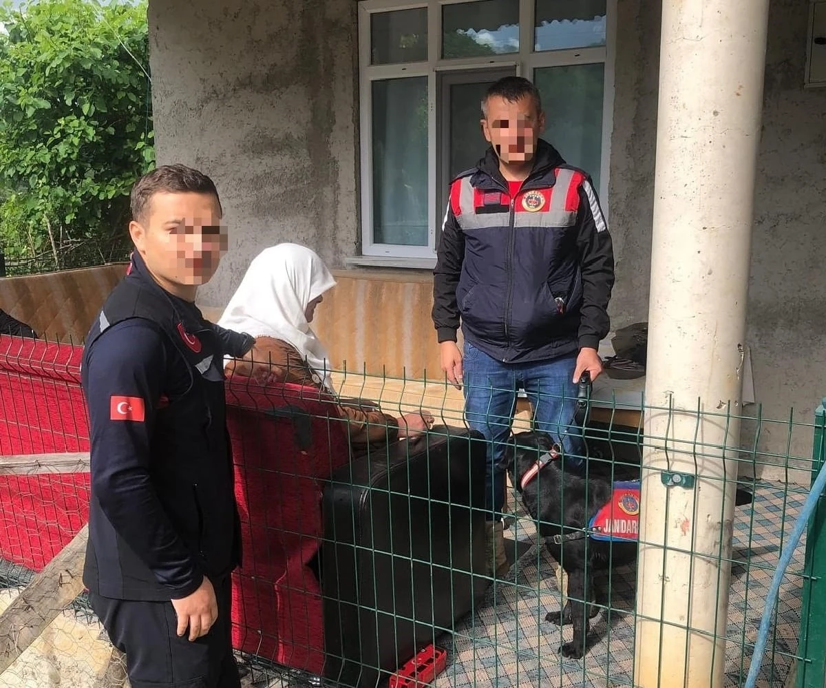 Ordu’da kayıp ihbarı olan kadın sağ olarak bulundu
