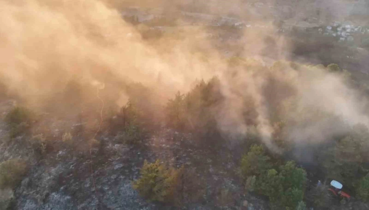 Ordu’da ormanlık alanda çıkan yangın söndürüldü
