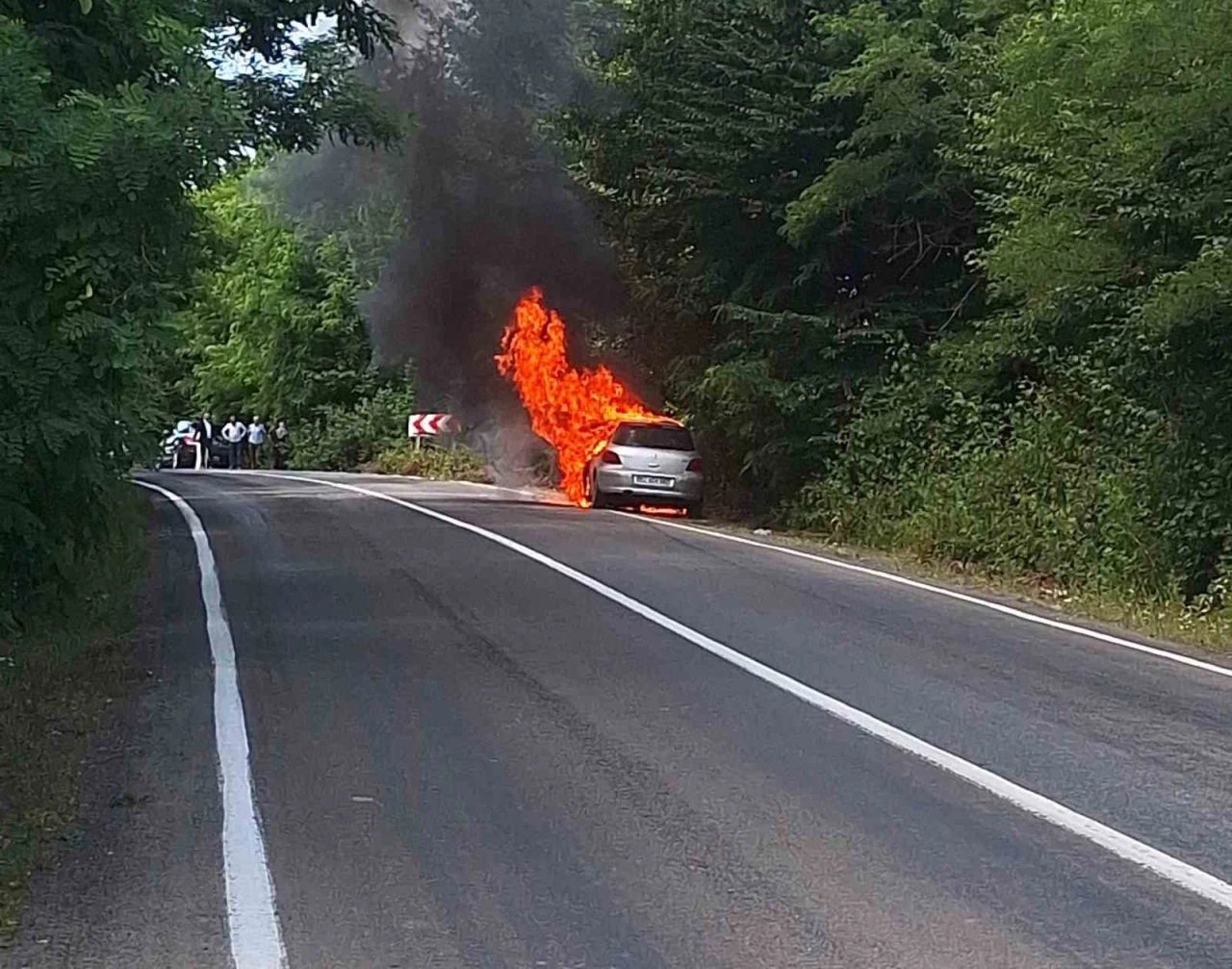 Ordu’da otomobil yangını
