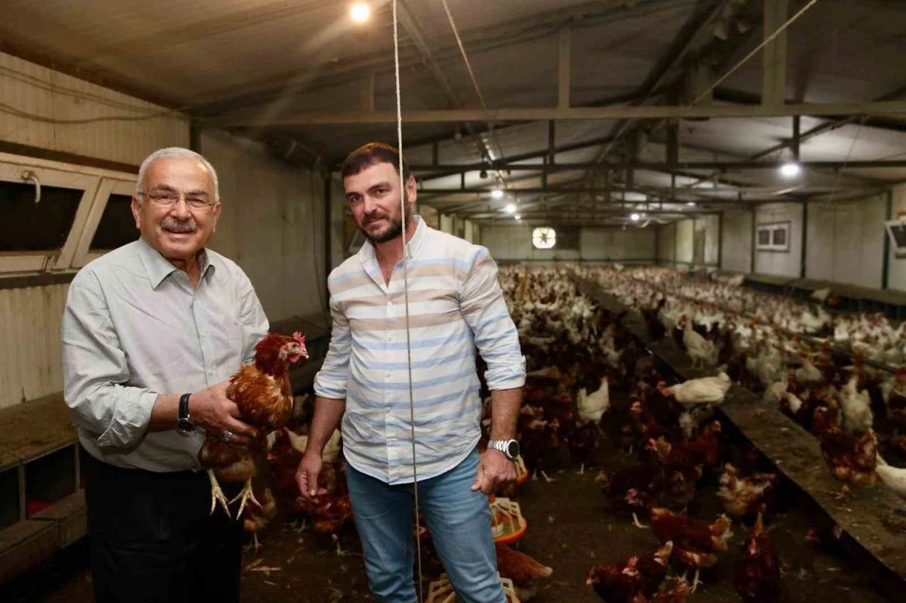 Ordu&rsquo;da yumurta &uuml;retimi, verilen destekler ile zarardan kara d&ouml;n&uuml;şt&uuml;: İlin ekonomisine yıllık 500 milyon lira gelir
