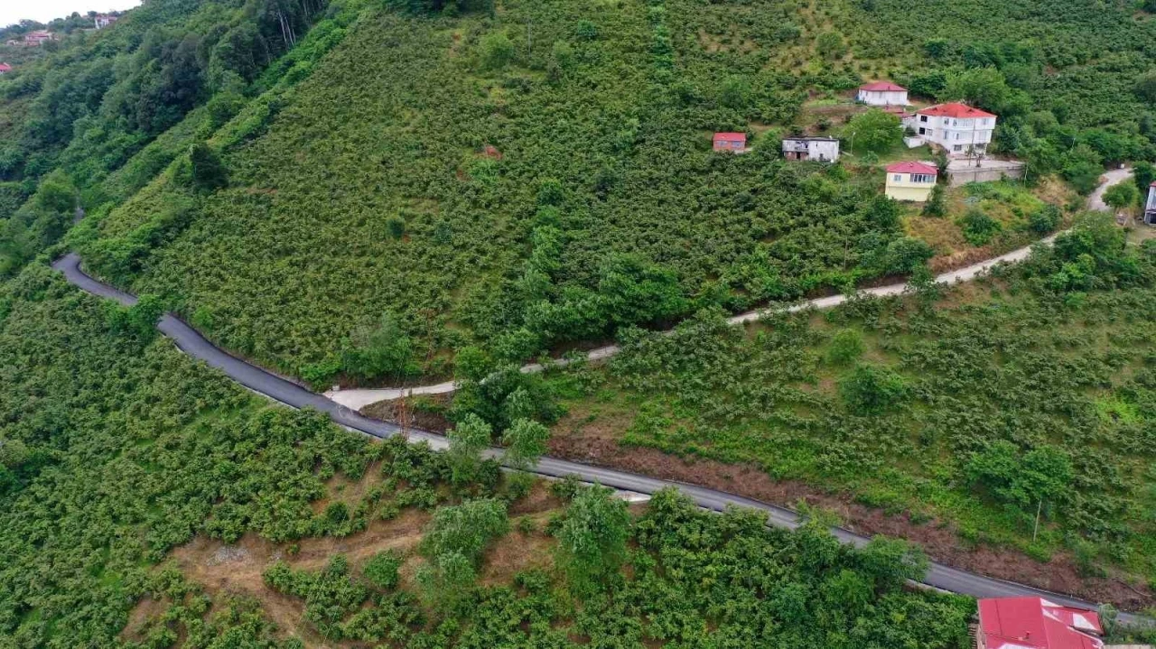 Ordu’nun seyir terasının yolunda sıcak asfalt çalışması
