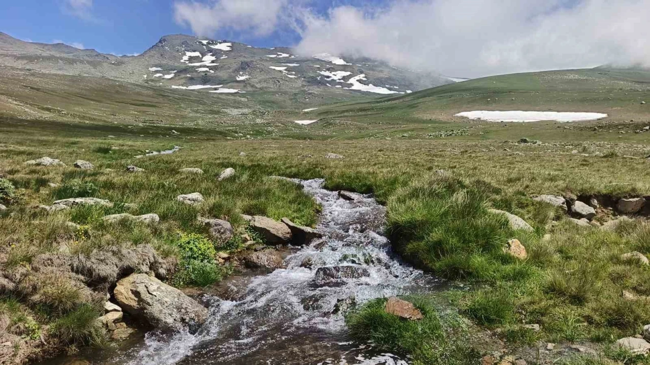 Ordu&rsquo;nun yaylalarında yaz g&uuml;zelliği
