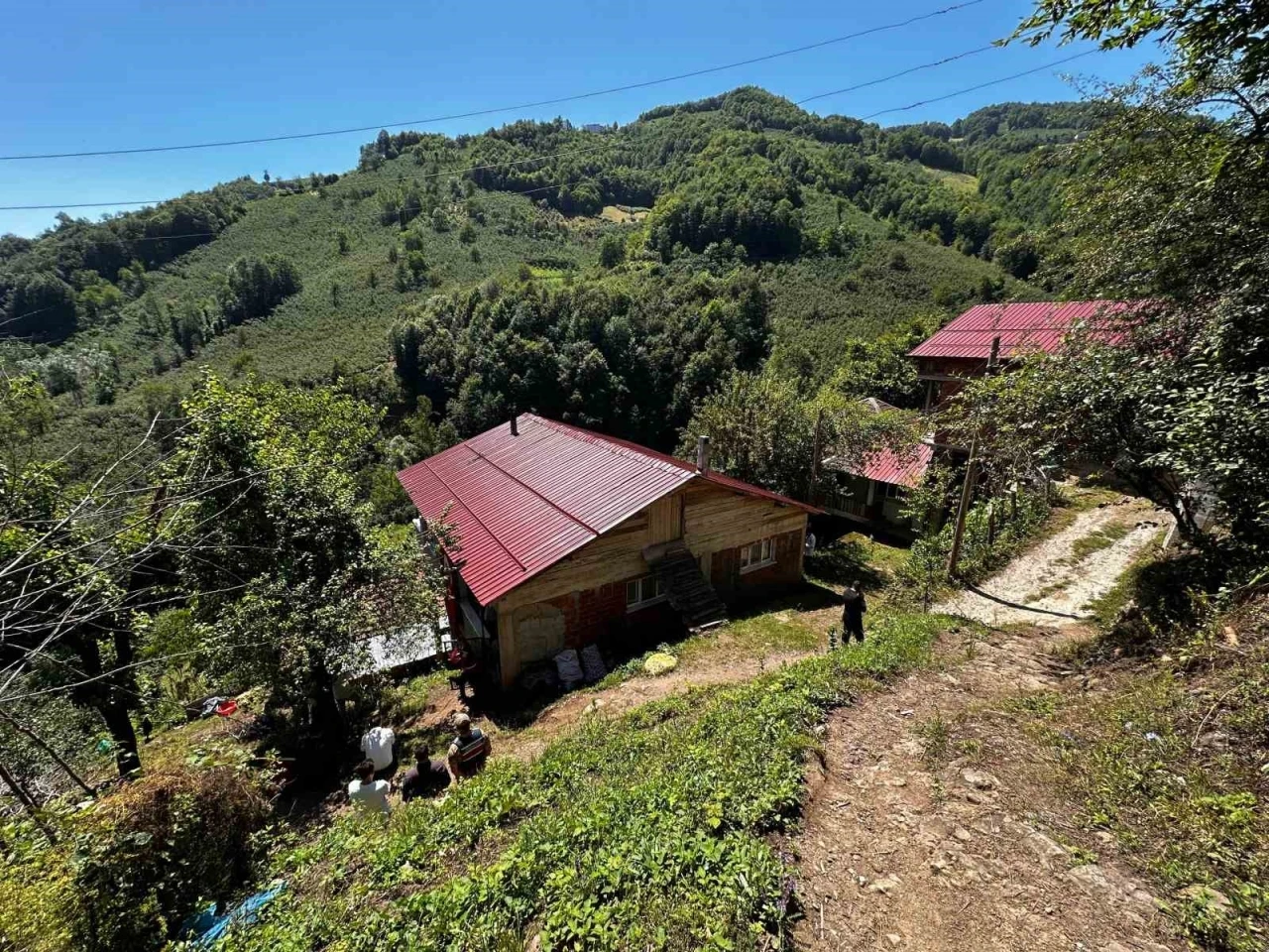 Ordu’ya şehit ateşi düştü
