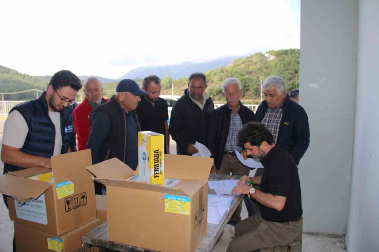 Organik tarıma mavi ve sarı yapışkan tuzak desteği
