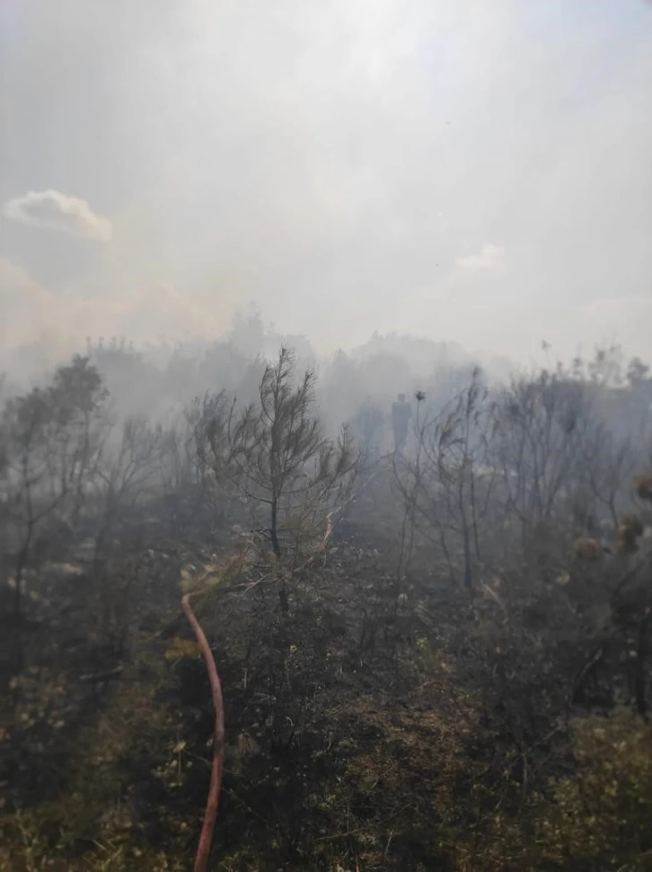 Orman yangını b&uuml;y&uuml;meden s&ouml;nd&uuml;r&uuml;ld&uuml;

