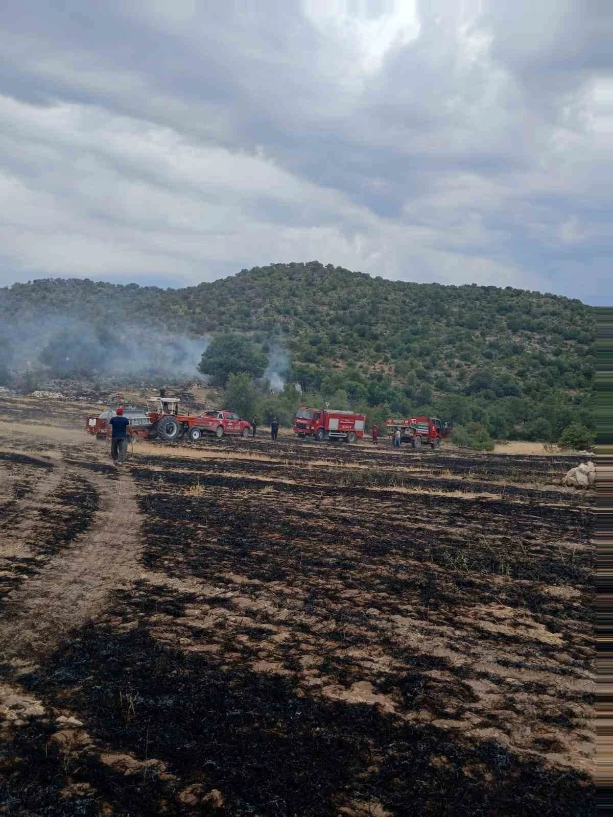Ormana sıçrayan anız yangını korkuttu
