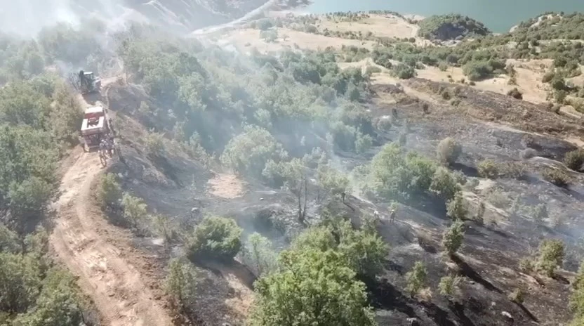 Ormanlık alanda çıkan yangın büyümeden söndürüldü
