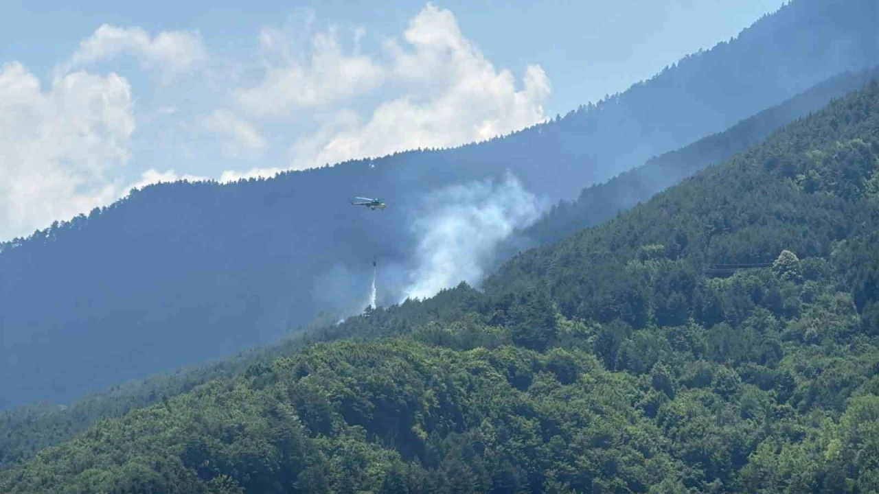 Ormanlık alanda &ccedil;ıkan yangına havadan ve karadan m&uuml;dahale
