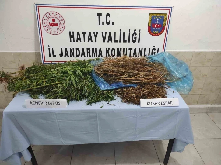 Ormanlık alanda uyuşturucu ele ge&ccedil;irildi
