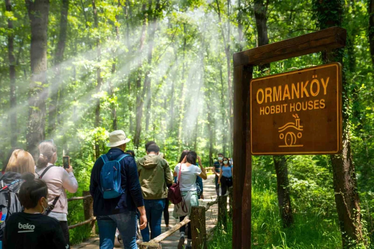 Ormanya’da yaz hazırlıkları tamamlandı
