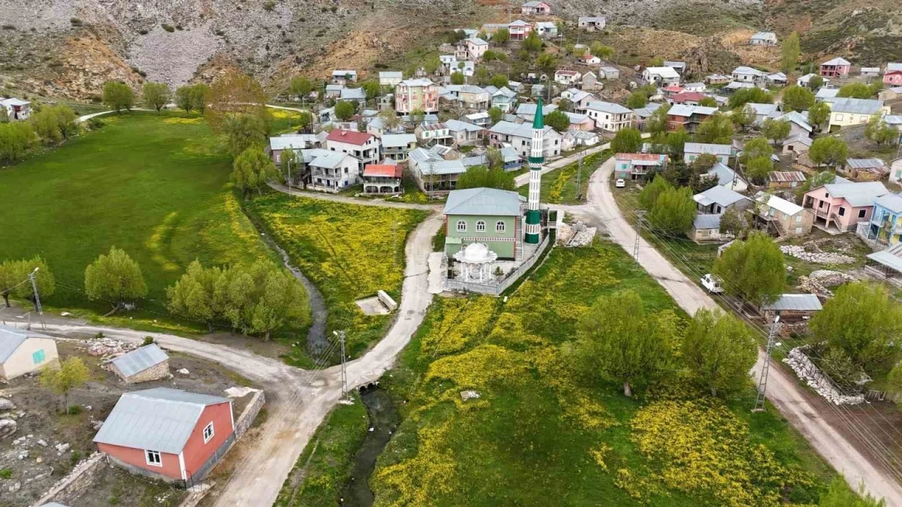 Orta Toroslardaki yaylalar görsel şölen sunuyor
