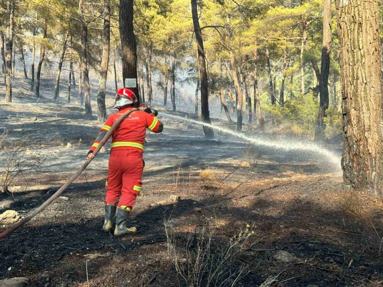 Ortaca&rsquo;da orman yangını
