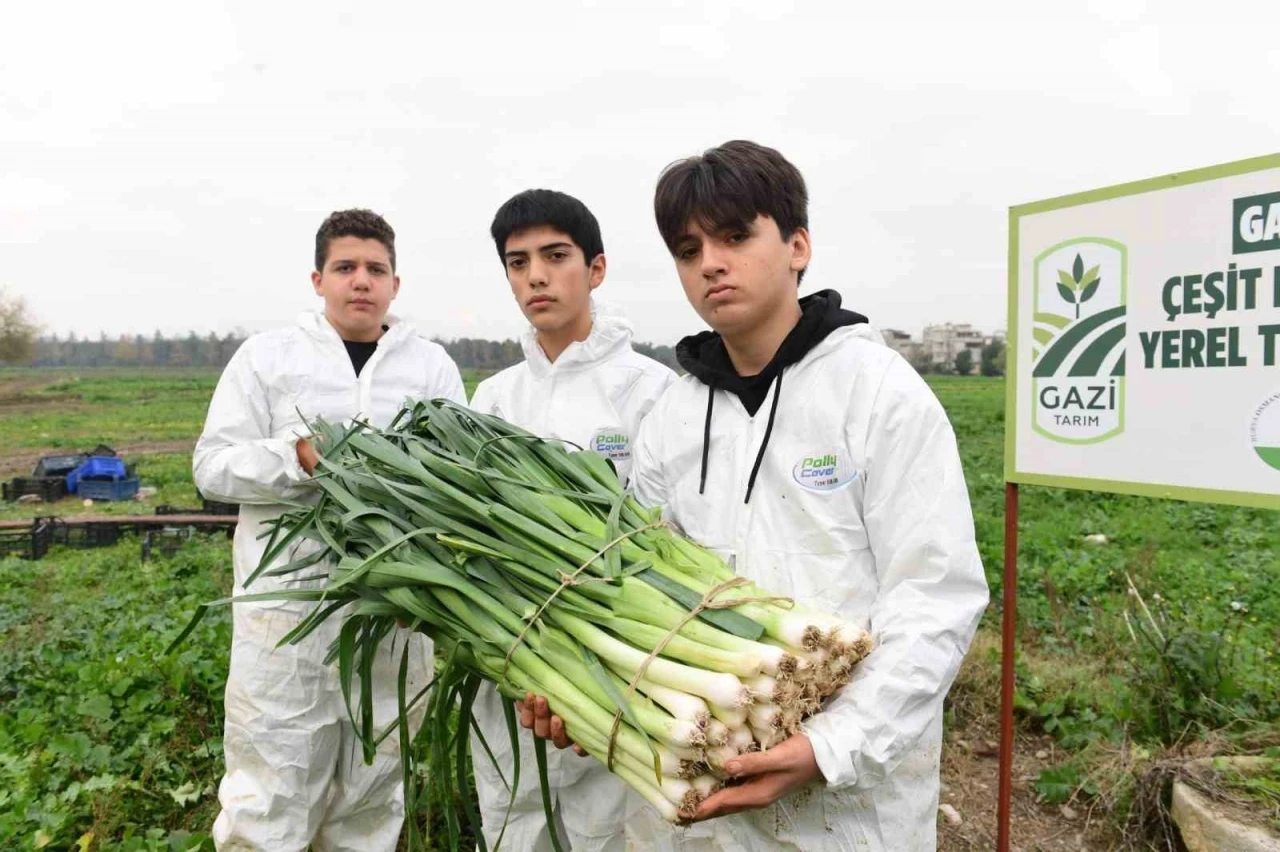 Osmangazi&rsquo;de pırasa hasadıyla doğallık sofralara taşınıyor

