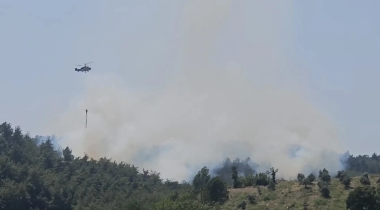 Osmaniye’de çıkan orman yangını söndürüldü
