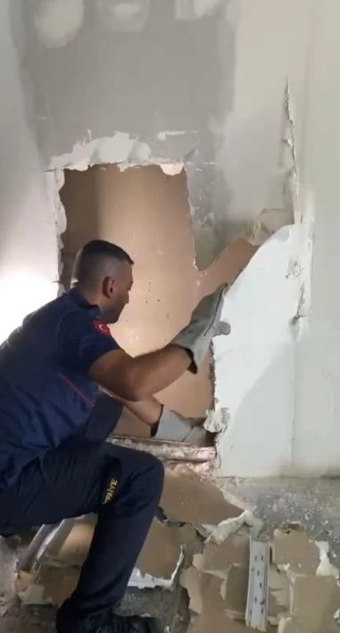 Osmaniye’de duvara sıkışan yavru kedi itfaiye tarafından kurtarıldı
