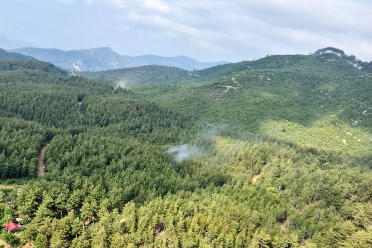 Osmaniye’de ormanlık alanlara girişler yasaklandı
