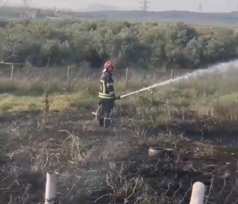 Osmaniye&rsquo;de tankerin lastiklerinden &ccedil;ıkan yangın zeytin bah&ccedil;esine sı&ccedil;radı
