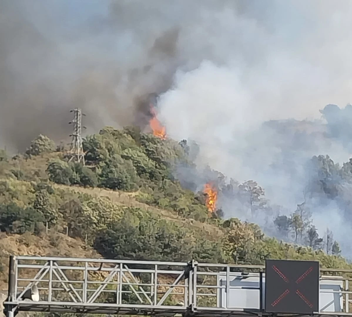 Osmaniye’nin Bahçe ilçesinde ormanlık alanda yangın çıktı
