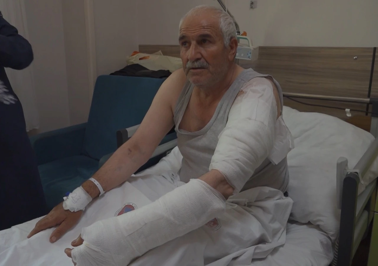 Ot biçen vatandaş kurdun saldırısına uğradı
