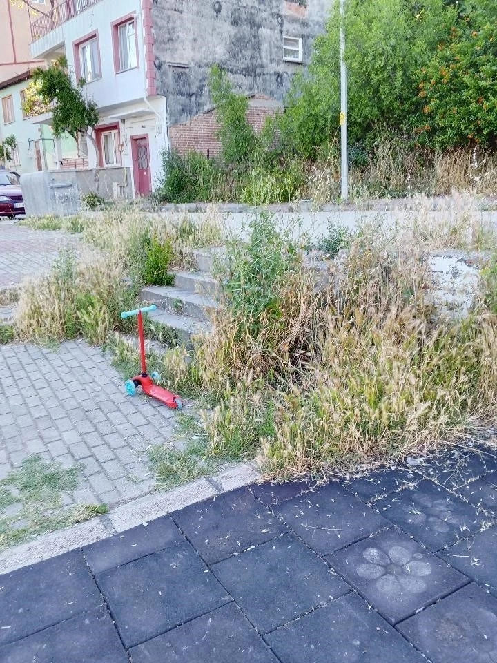 Otluk alana d&ouml;nen bu park bakım ve temizlik bekliyor
