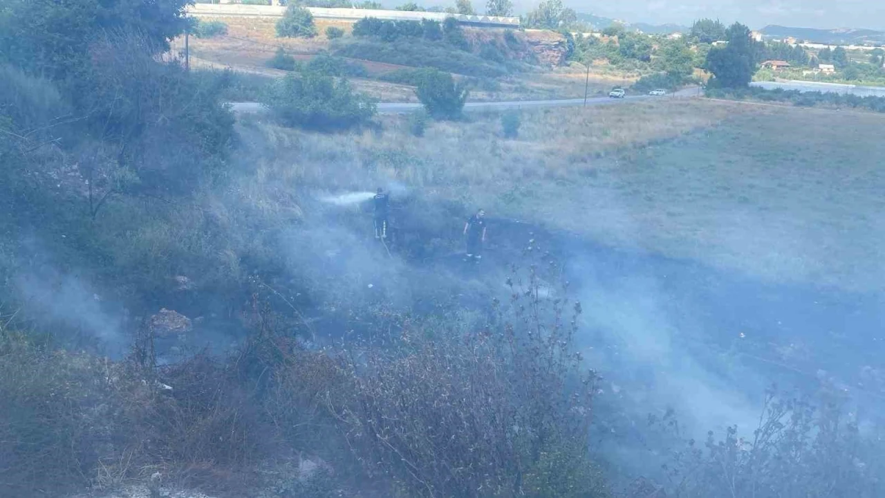 Otluk alanda &ccedil;ıkan yangın seralara sı&ccedil;ramadan s&ouml;nd&uuml;r&uuml;ld&uuml;
