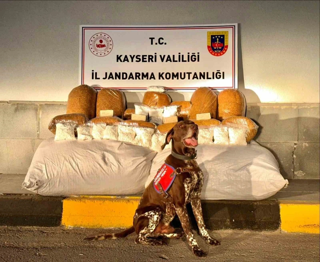 Otobüste 450 kilogram kaçak tütün ele geçirildi
