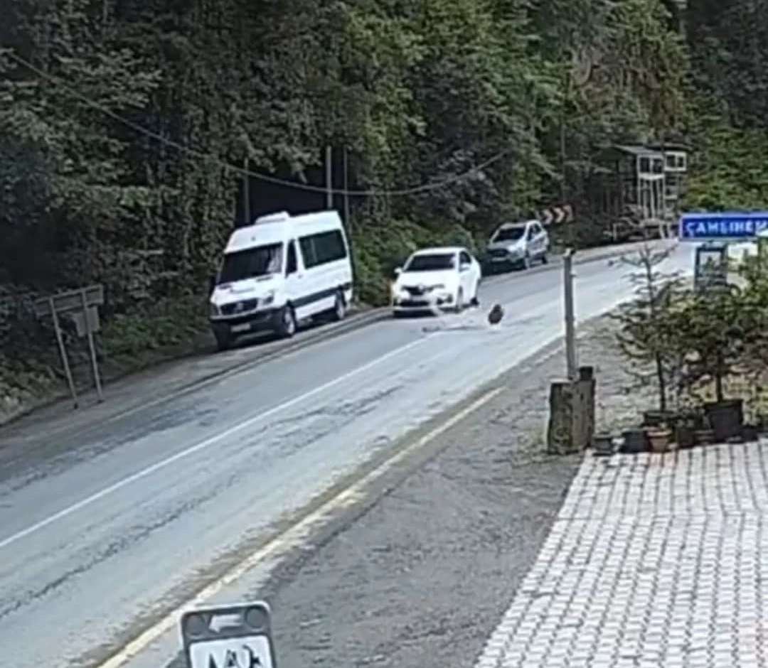 Otomobil düşen kayadan saniyelerle kurtuldu
