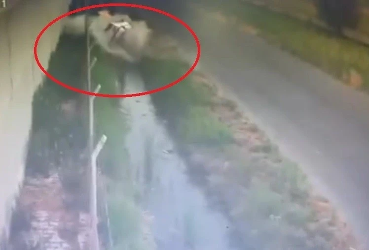 Otomobil sulama kanalına uçtu
