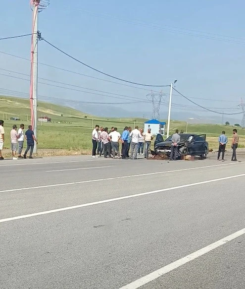 Otomobil sürüye çarptı, onlarca koyun telef oldu
