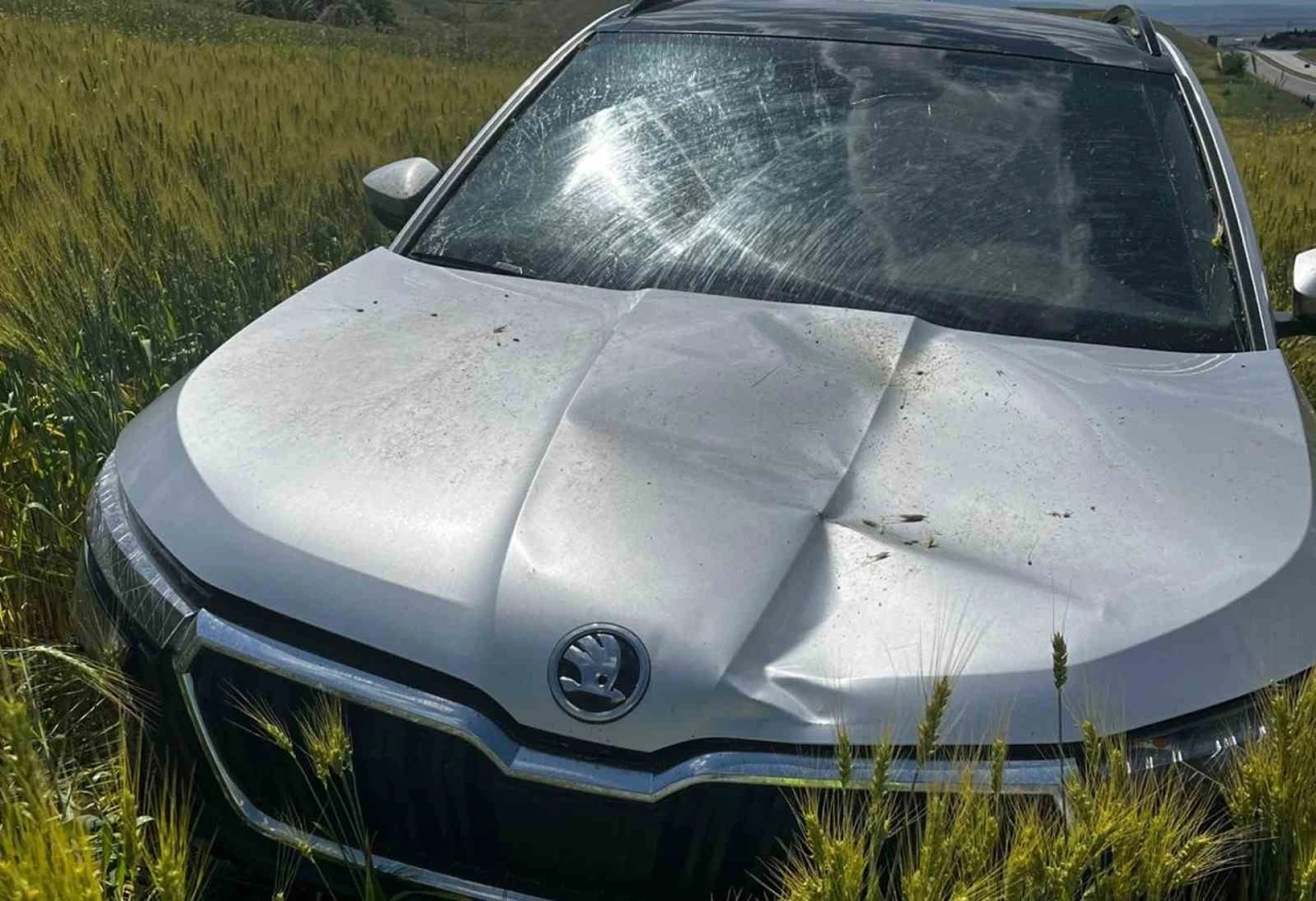 Otomobil tarlaya savruldu, 1 kişi yaralandı
