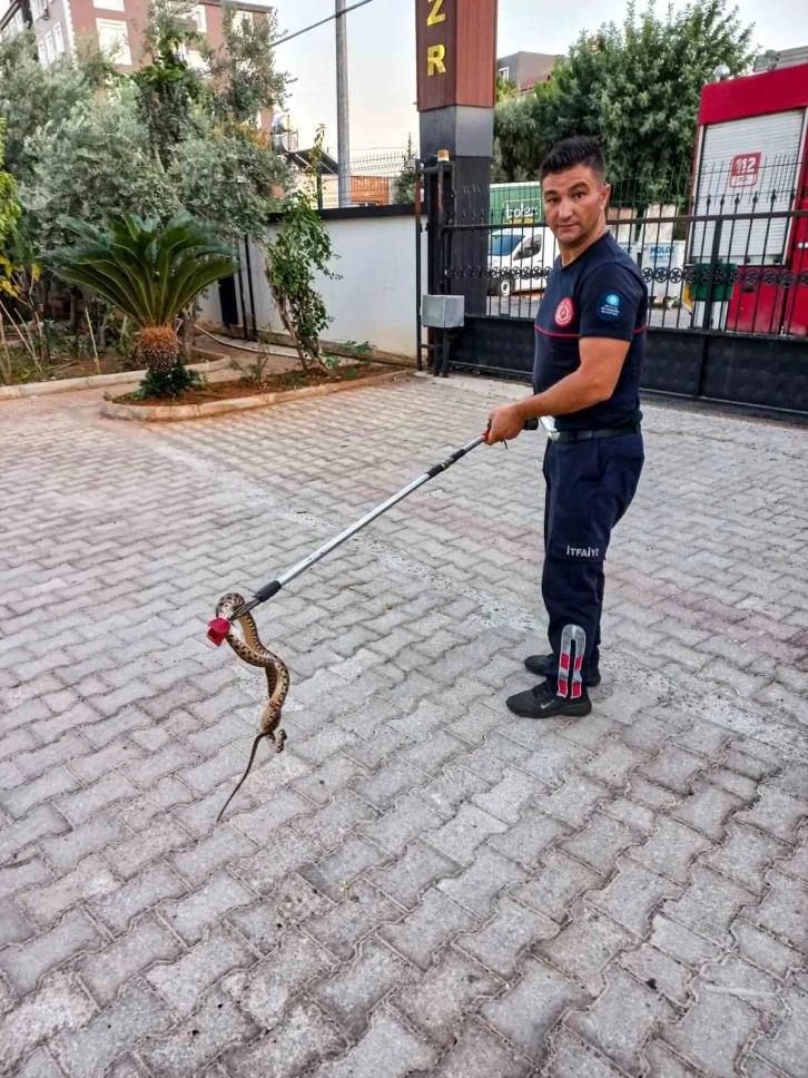 Otomobile giren 1 metre uzunluğundaki yılanı itfaiye &ccedil;ıkardı
