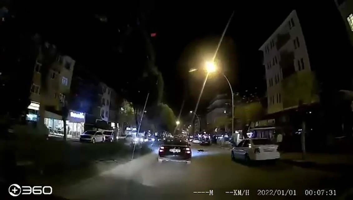 Otomobilin altında kalan kedi telef oldu
