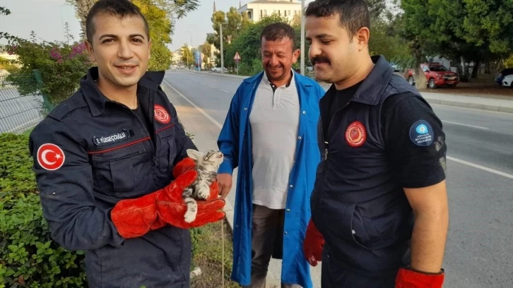Otomobilin motor kısmına giren yavru kedi, 3 saatte &ccedil;ıkarılabildi
